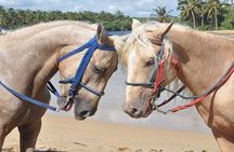 Horseback Riding to Maimon River from Punta Cana
