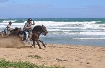 Horseback Riding to Maimon River from Punta Cana