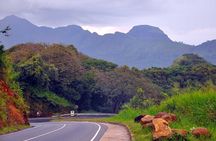 Full Day Kandy City Tour | From Colombo