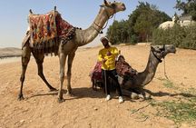 VIP Giza Pyramids,Sphinx, Camel ride, lunch & inside 3rd pyramid