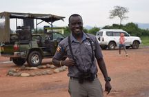 Queen Elizabeth Open Safari Jeeps for game drives.