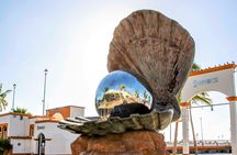 La Paz, Balandra beach and Todos Santos Tour