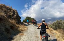 E-Bike Tour with Wine Tasting in Dafnes, Heraklion