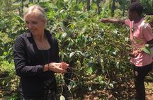Organic Coffee Tour and Local Food Experience in Arusha