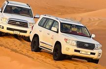 Camel Trekking in Dubai Desert with BBQ and Live Shows