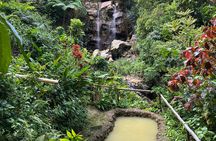 LUNCH INCLUSIVE Mud Baths, Waterfall & Tet Paul Nature Trail