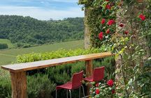 Tuscany Landscapes, Castels & Chianti Wine District