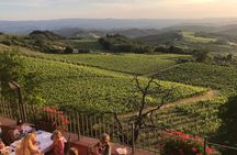 Tuscany Landscapes, Castels & Chianti Wine District