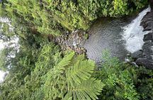 Full Day National Park Adventure