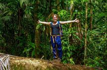 Sinharaja Trekking Day Trip - Private & All Inclusive