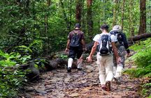 Sinharaja Trekking Day Trip - Private & All Inclusive
