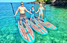 Stand Up Paddle Boarding Tour in Turtle Town, Maui