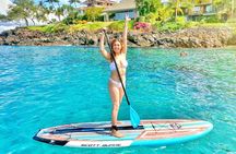 Stand Up Paddle Boarding Tour in Turtle Town, Maui