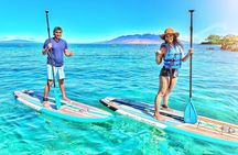 Stand Up Paddle Boarding Tour in Turtle Town, Maui