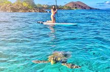 Stand Up Paddle Boarding Tour in Turtle Town, Maui