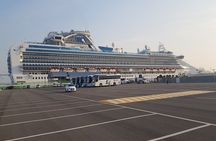 Full- day Busan private tour