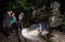 Hanging Bridges Twilight Walk in Arenal Volcano