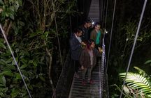 Hanging Bridges Twilight Walk in Arenal Volcano