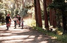 Mornington Peninsula guided e-bike tour
