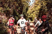 Mornington Peninsula guided e-bike tour