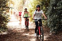 Mornington Peninsula guided e-bike tour