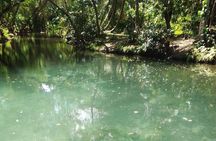 Damajagua The 7 waterfalls excursion - Amber Cove & Taino bay