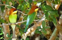 Hurulu Eco Park Safari | Jeep with Tickets