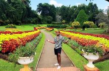 Kandy Day Trip with Tooth Relic Temple & Unique Attractions