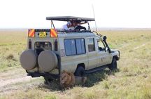 Wildlife safaris and mountain climbing