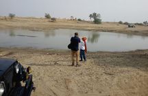Pleasant Sunset Safari With Dinner On Dunes (From 2:00 PM to Approx. 10:00 PM)