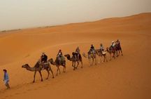 Pleasant Non-Touristic Overnight Camel Safari (From 2:00 PM to Approx. 10:30AM)
