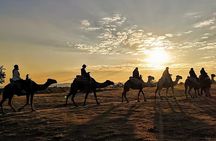 Camel Safari in Cappadocia