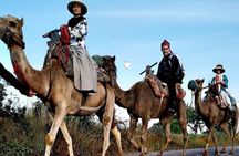 Camel Safari in Cappadocia