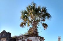 A Local's Garden District Tour