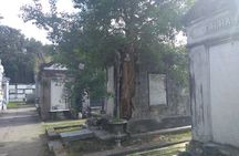 A Local's Garden District Tour