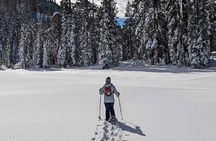 Half Day Snowshoe Hike in Tahoe National Forest