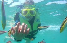 Snorkel and Kayak in Las Gatas Beach