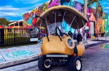 1 Hour Lady Buggy Art Tour Experience in Wynwood