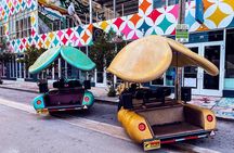 1 Hour Lady Buggy Art Tour Experience in Wynwood