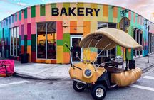 1 Hour Lady Buggy Art Tour Experience in Wynwood