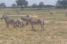 Hwange National Park Full Day Trip