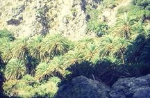 River Trekking at Kourtaliotiko Gorge, Rethymno-Crete