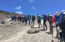8 Day Private Kilimanjaro Climb via Lemosho Route
