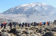 8 Day Private Kilimanjaro Climb via Lemosho Route