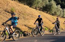 Private Guided Tour by E-Bike and Electric MTB in Fiesole