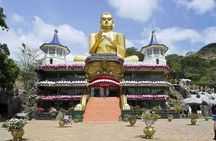 2 Days Private Tour of Sigiriya & Dambulla with Minneriya Safari - All Inclusive
