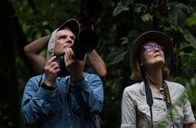 5-Hour Birdwatching and Photography Tour in Monteverde
