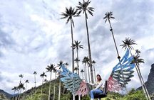 Cocora Valley, Salento and Coffee Farm Day Tour 