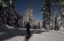 Tahoe National Forest Moonlight Snowshoe Tour Under a Starry Sky