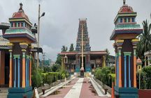 Mud Pools, Gardens, Markets, Temple & Shopping-Nadi Tour half day